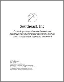 southeast-inc-appreciative inquiry practicum_Company of Experts